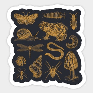 Goblincore Frogs, Snails, Moths, and Mushrooms in a Vintage Biology Aesthetic Sticker